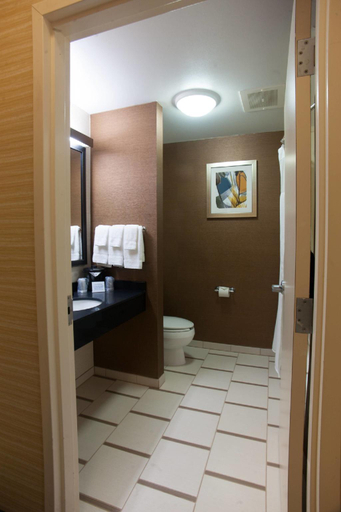 Bathroom 4, Comfort Inn & Suites Akron South, Summit