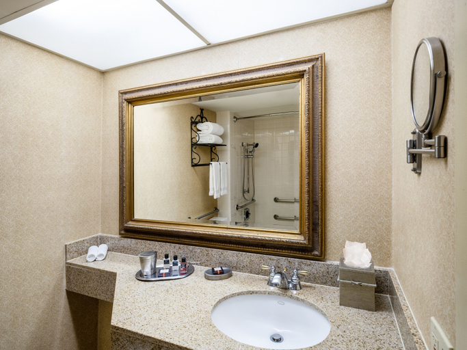 Bathroom 4, Austin Southpark Hotel, Travis