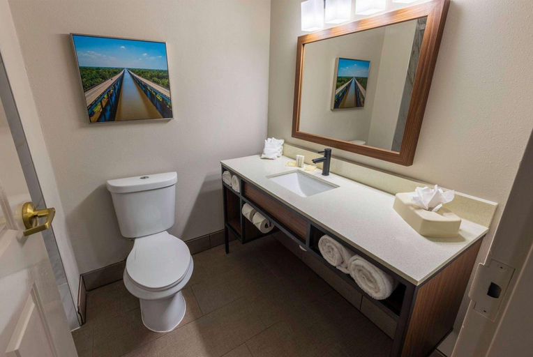 Bathroom 4, Wingate by Wyndham Lafayette Airport, Lafayette
