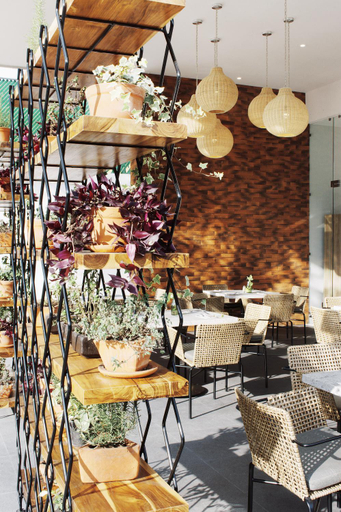 Food & Drinks 4, Aurea Hotel and Suites, Zapopan