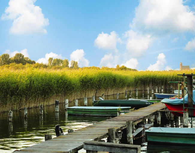 View from property 2, Doppelhaushalfte in Seehausen am Oberuckersee, Uckermark