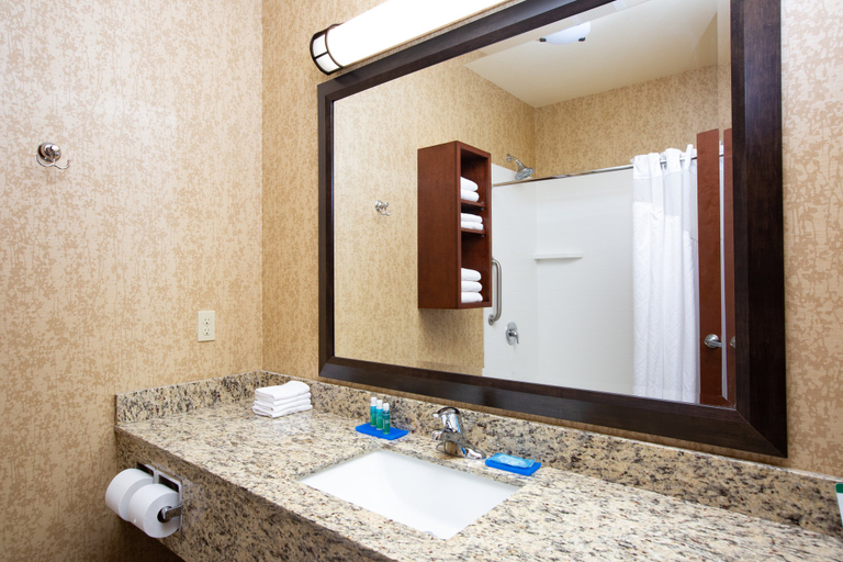 Bathroom 4, Holiday Inn Express & Suites ASTORIA by IHG, Clatsop