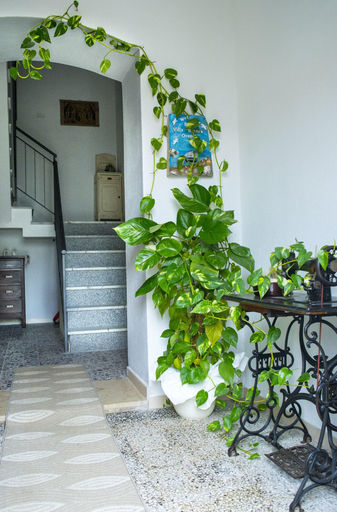 Public Area 2, Bed And Breakfast Villa Bianca, Nuoro