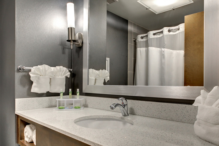 Bathroom 5, Holiday Inn Express & Suites ALBANY by IHG, Dougherty