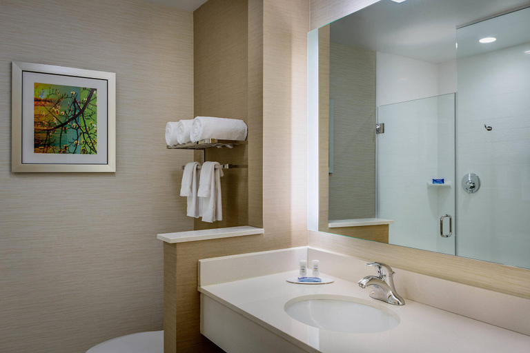 Bathroom 4, Fairfield Inn & Suites Dallas West/i-30, Dallas
