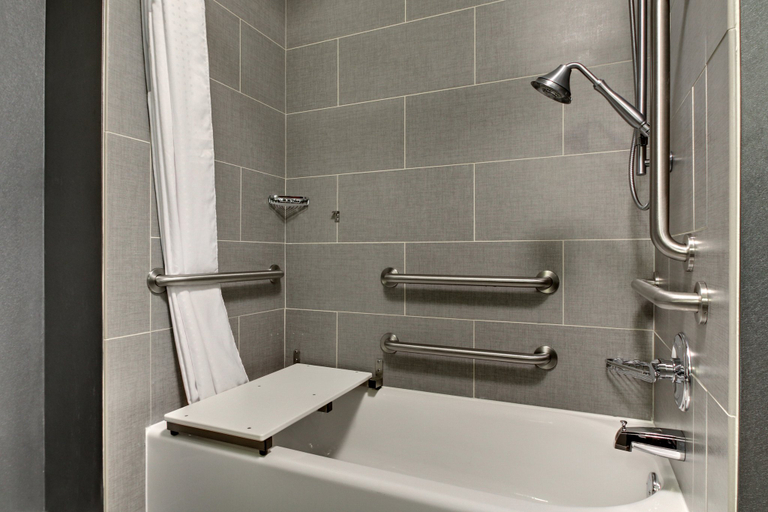 Bathroom 5, Holiday Inn Express & Suites ALBANY by IHG, Dougherty