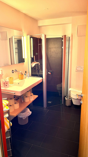 Bathroom 2, Adventure Panorama, Bregenz