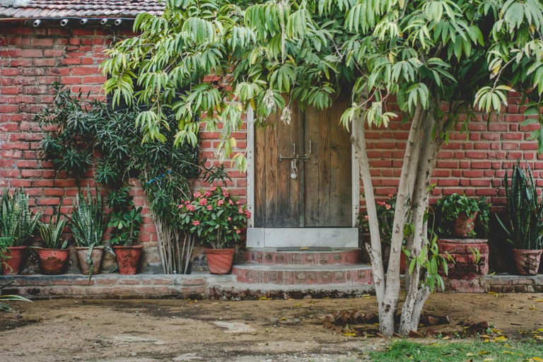 Others 5, Shannu's Ranch Inn, Ajmer