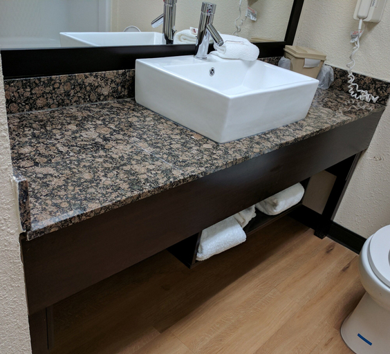 Bathroom 4, Red Roof Inn PLUS+ & Suites Opelika, Lee
