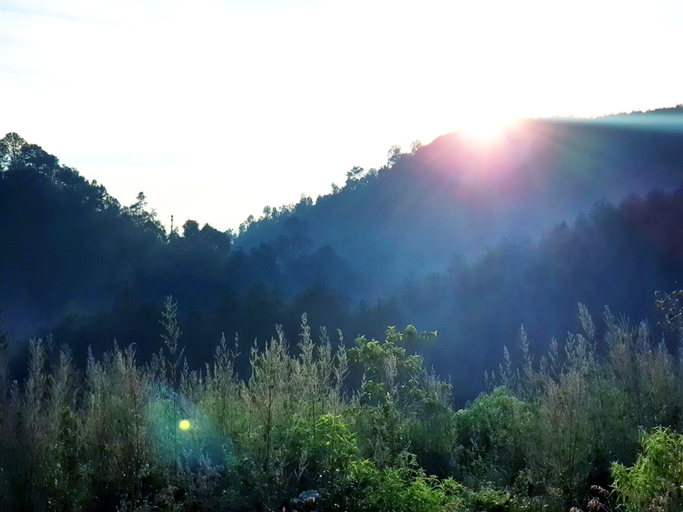 Scenery 16