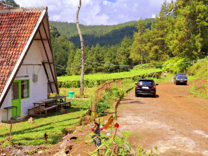 Scenery 17