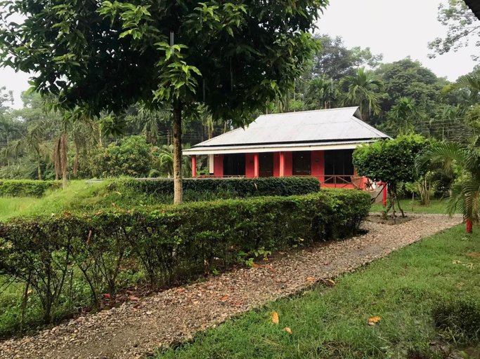 Others 5, Villa De Hollong, Alipurduar