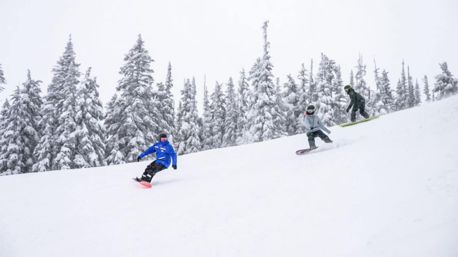 Others 4, Evolution Whistler, by Lodging Ovations, Squamish-Lillooet
