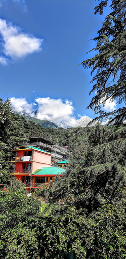 Exterior & Views 2, Soham Hotel, Kangra