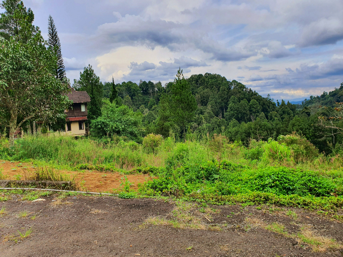 Scenery 15