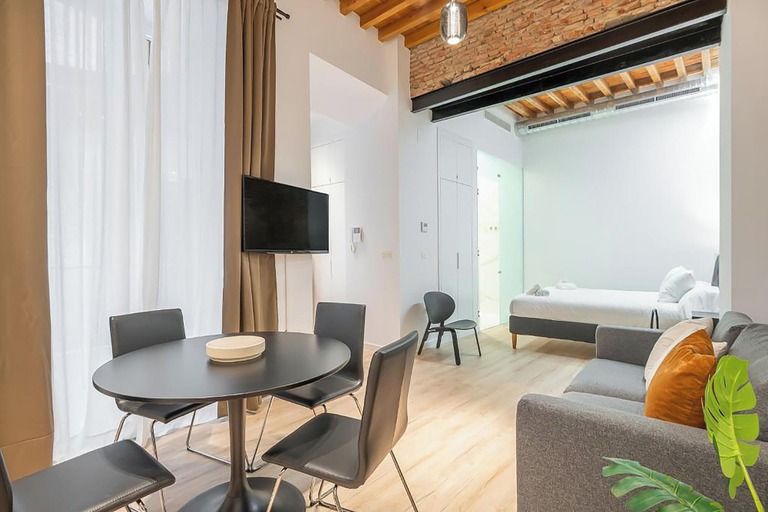 Others 4, Feelathome Conde Apartments, Málaga