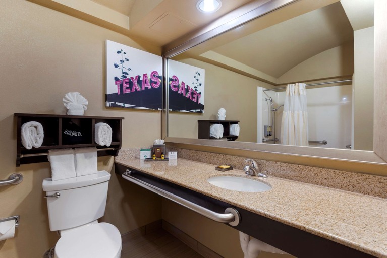 Bathroom 4, Best Western Plus Arlington North Hotel & Suites, Arlington