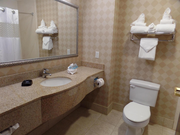 Bathroom 4, Hampton Inn Bowling Green, Wood