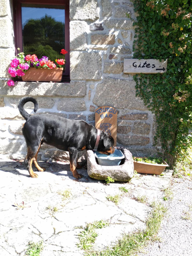 Others 5, Domaine de Lesvaniel, Finistère