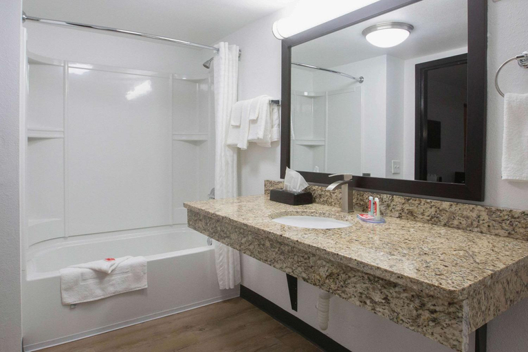 Bathroom 4, Econo Lodge Lithonia - Atlanta East, DeKalb