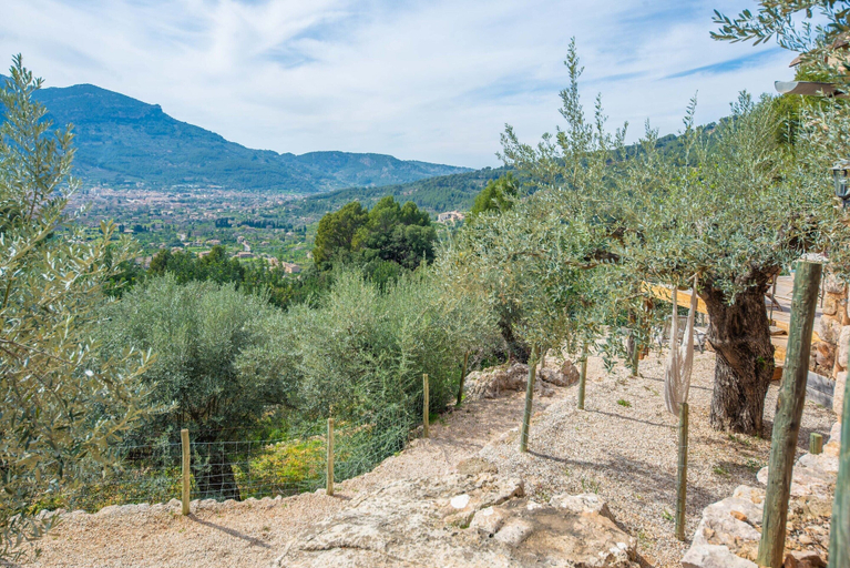 Property grounds 2, Els Abats - Villa With Private Pool In Fornalutx, Baleares