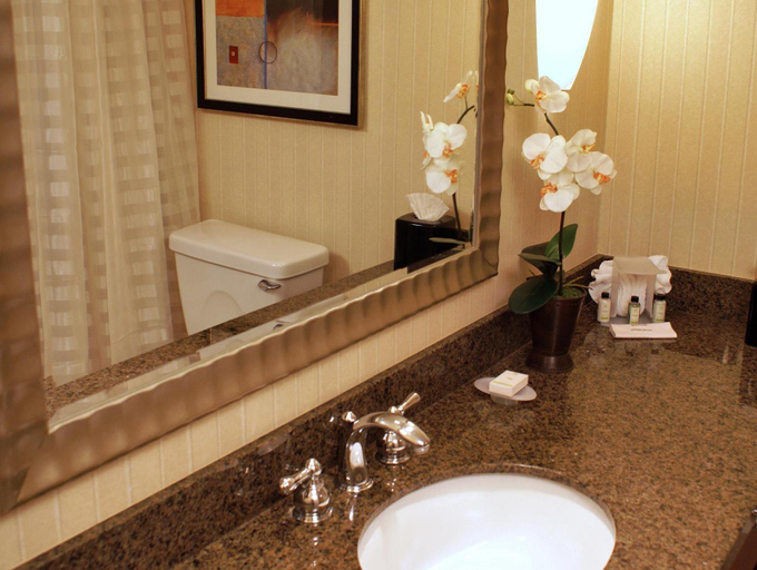 Bathroom 3, Embassy Suites by Hilton Denver Tech Center, Arapahoe