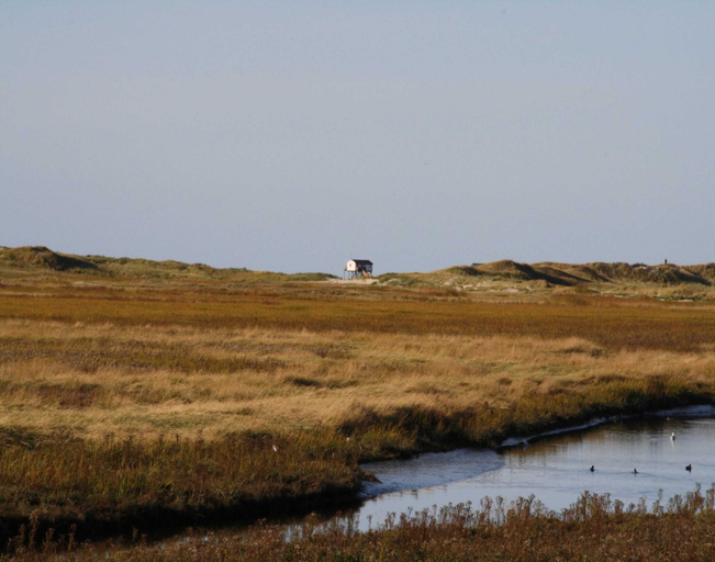 View from property 5, Reihenhaus, St. Peter - Ording, Nordfriesland