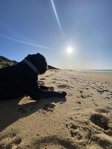 Public Area, 90 Mile Beach House Villas, Wellington - Rosedale
