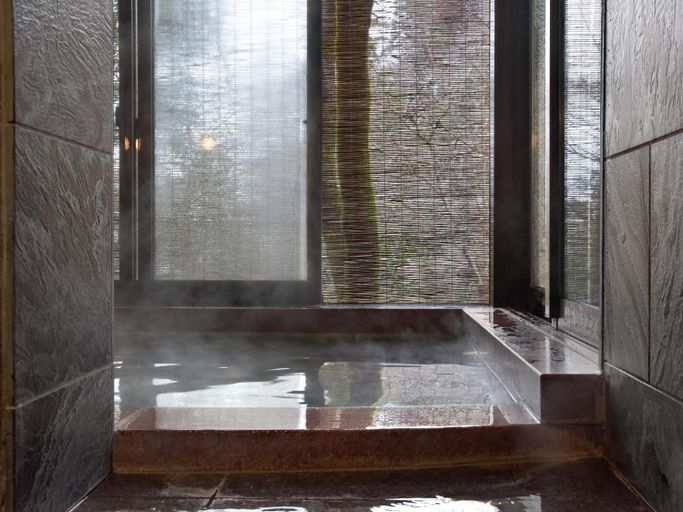 Bathroom 4, Kyousen, Iida