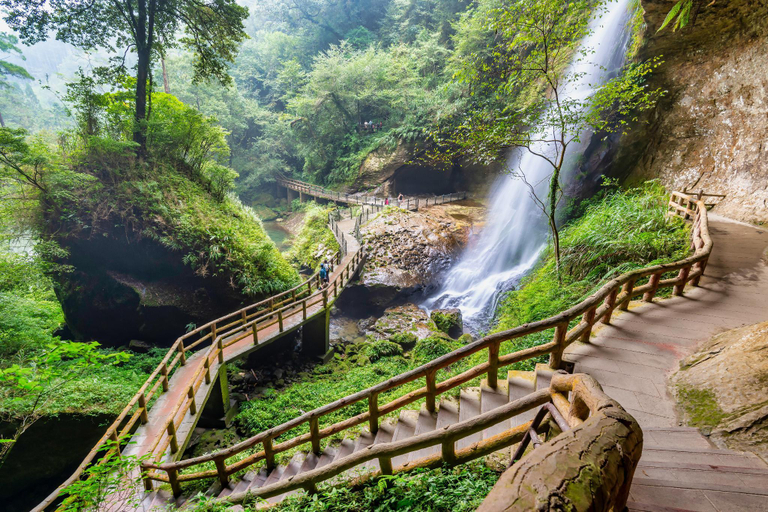 Nearby Landmark 2, Strolling in the Mist A walk in the mist, Nantou