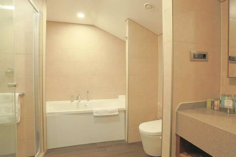 Bathroom 2, Hilton Garden Inn Eskisehir, Merkez