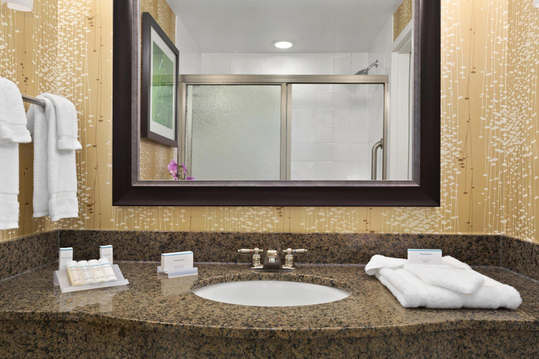 Bathroom 2, Hilton Garden Inn Charlotte/Mooresville, Iredell