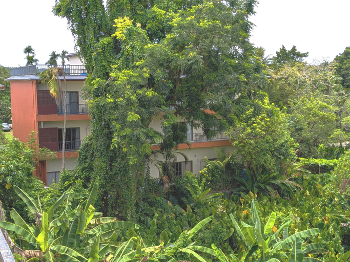 Exterior & Views 2, Garden Palace Downtown