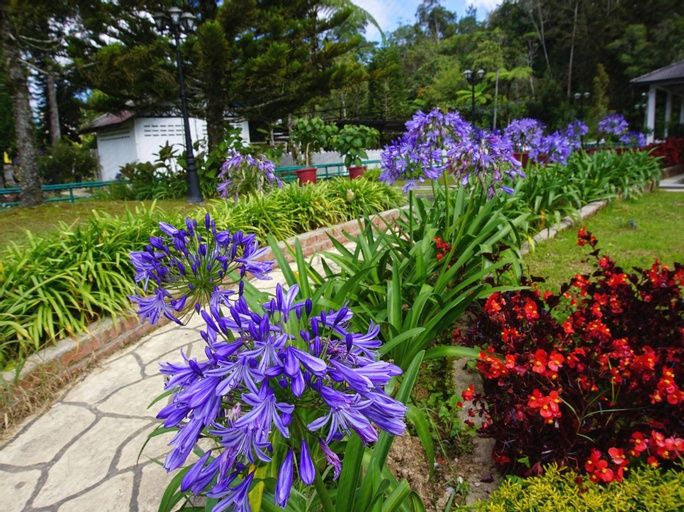 Others 3, SpringHill Resort, Cameron Highlands