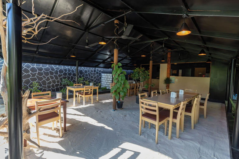Food & Drinks 5, Turtle Maldives
