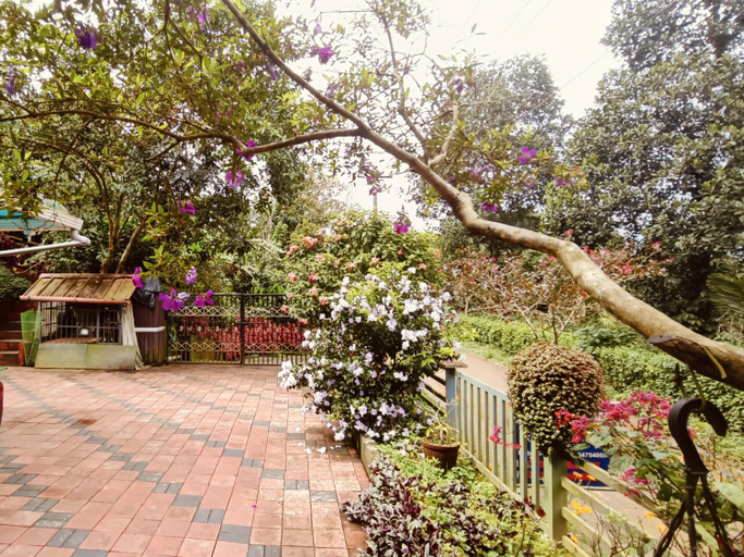Others 5, Divine View Holyday Home (Homestay), Wayanad