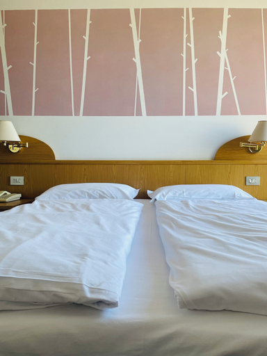 Bedroom 4, Enrosadira, Trento