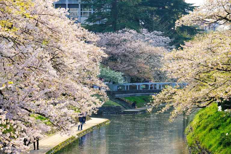 Nearby Landmark 2, Dormy Inn Toyama, Toyama