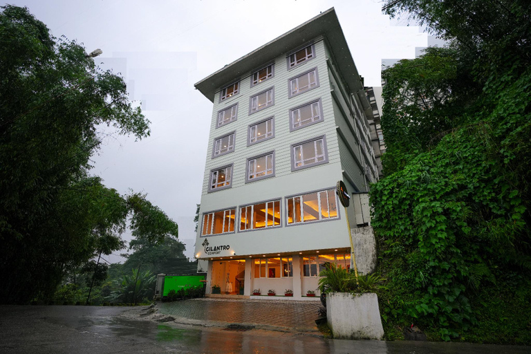 Others 3, Cilantro Comfort, East Sikkim