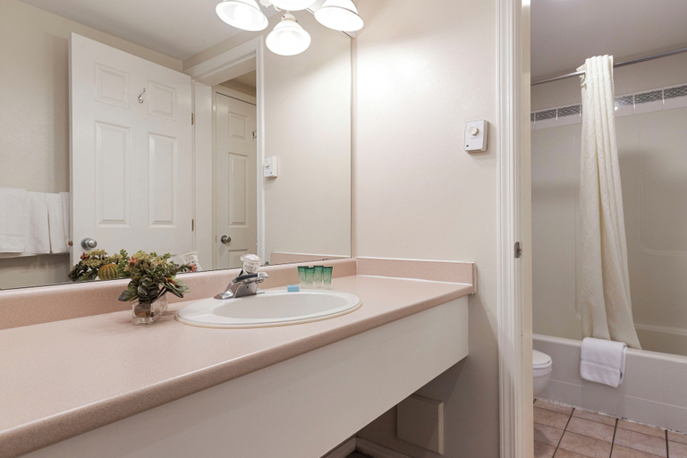 Bathroom 4, Oasis Inn, Central Okanagan