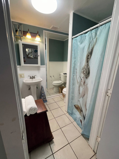 Bathroom, Under the Sea, Galveston