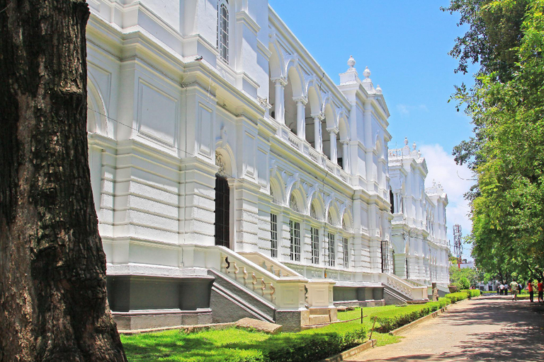 Nearby Landmark 4, Palm Grove, Thimbirigasyaya