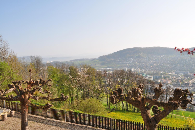 Exterior & Views 4, Bienenberg - Das Genusshotel im Grunen - Liestal, Liestal