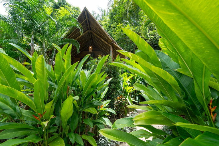 Others 5, Bamboo Bay Eco Resort, Ko Phangan