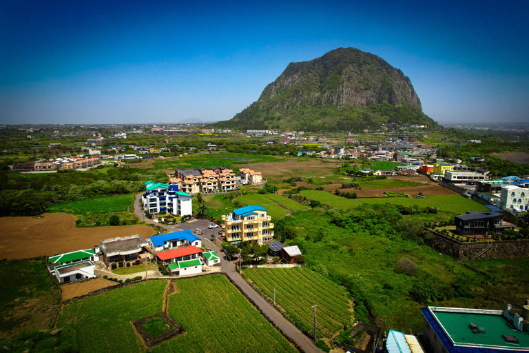 Others 3, ttottot Jeju Backpackers, Seogwipo