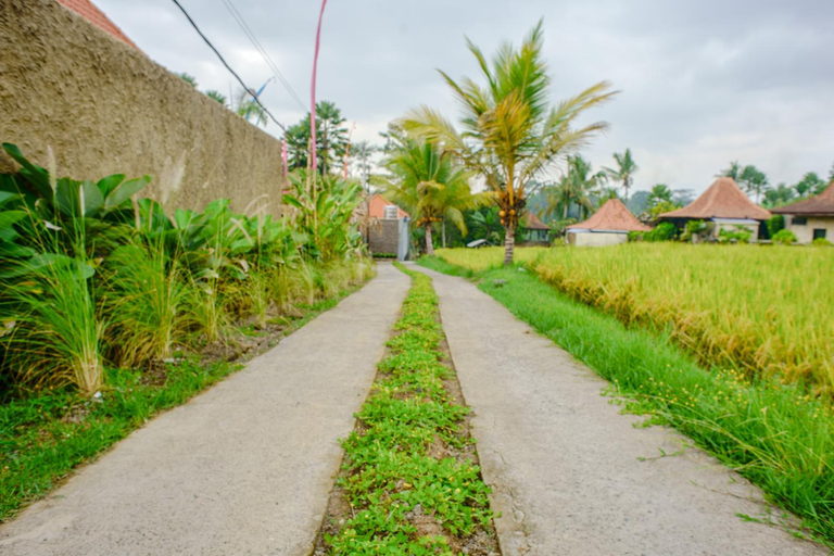 Public Area 4, Umakelod Sebatu Villas, Gianyar