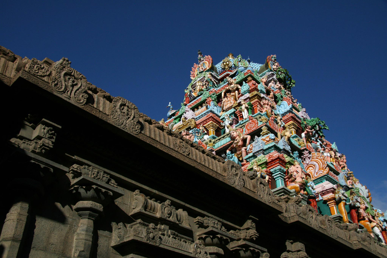 Nearby Landmark 4, GT Chamiers Park-Nr Apollo Cancer Centre, Chennai