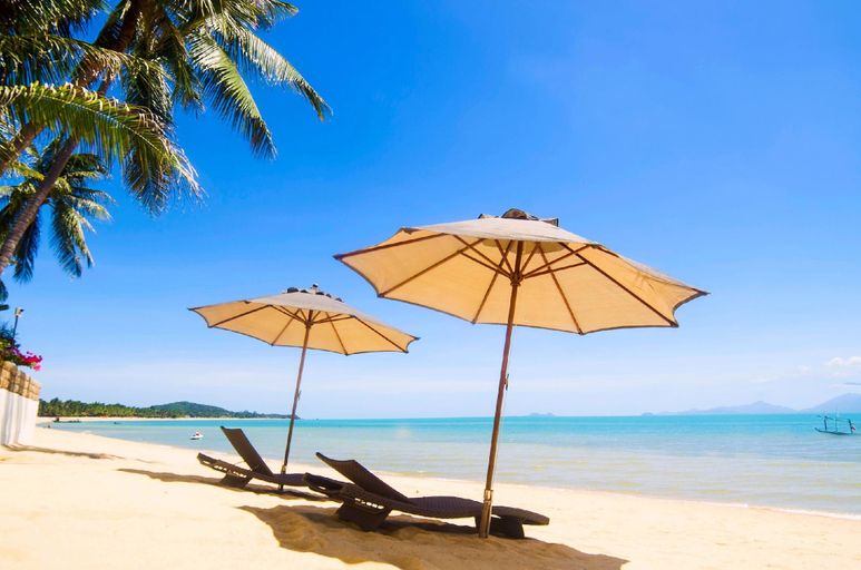 Nearby Landmark, Samui Blue Bird, Ko Samui
