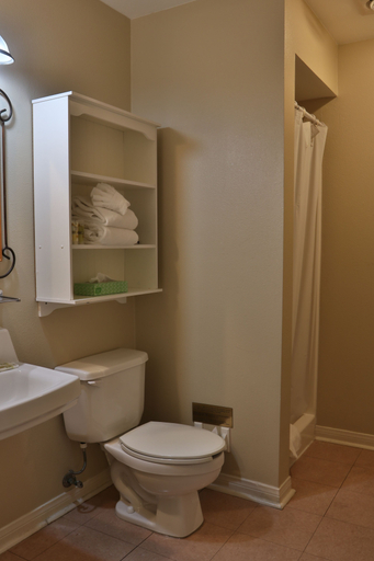 Bathroom 4, Lone Star Lodge and Marina, Denton