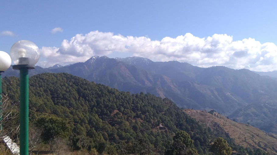 Others 5, Green Palms Rubystone Exotic, Garhwal
